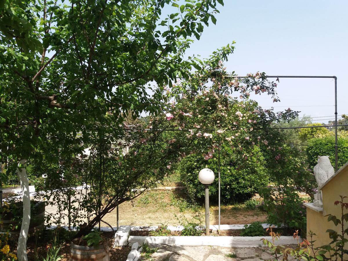 Athineos Apartments コメノ エクステリア 写真